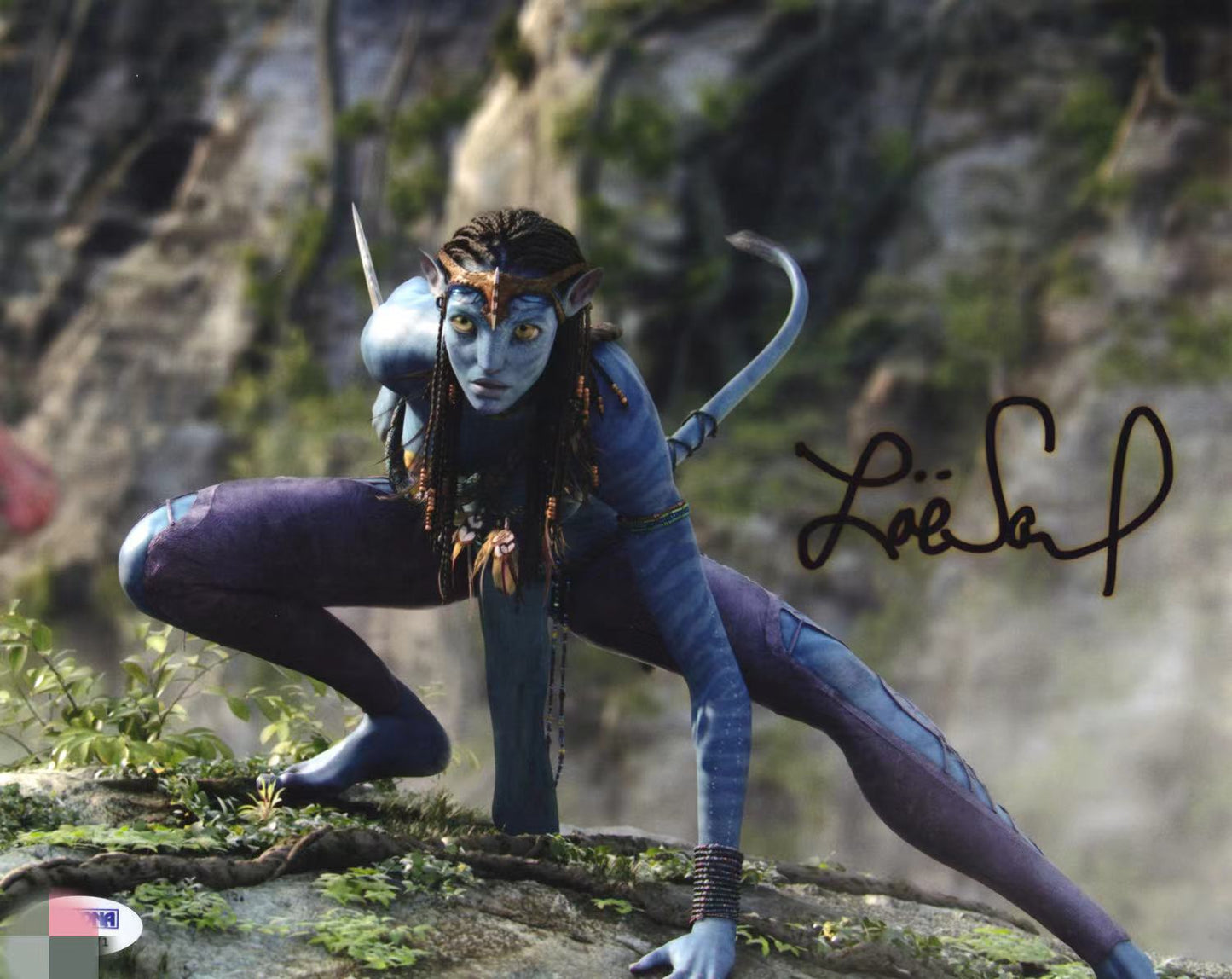 Zoe Saldana Autograph 8X10 Photo PSADNA COA - Premium 签名照 from Autographspace - Just $210.00! Shop now at Autographspace