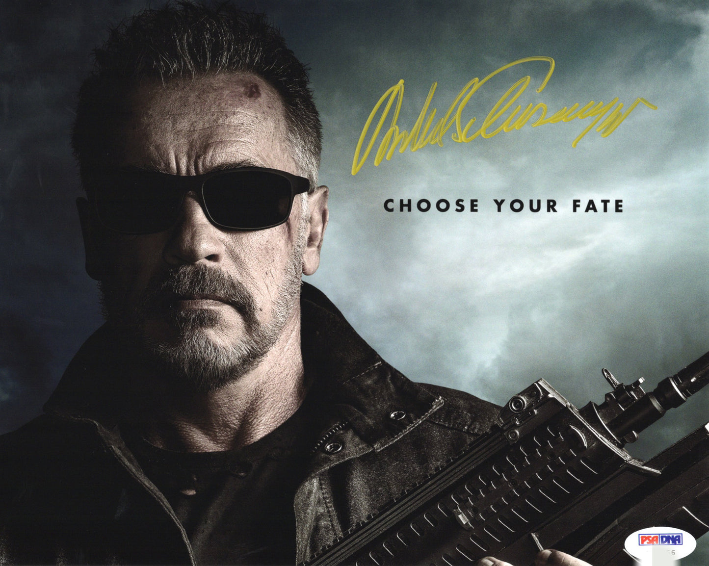 Arnold Schwarzenegger Autograph 8X10 Photo PSADNA COA - Premium 签名照 from autographspace - Just $388.00! Shop now at Autographspace